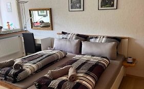 Gemütliche, ganze Wohnung in ruhiger, zentraler Lage